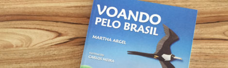 Voando pelo Brasil (livro)