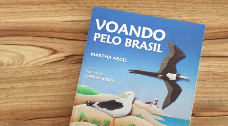 Voando pelo Brasil (livro)