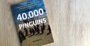 40.000 pinguins