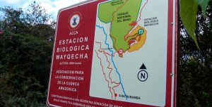 Estación Biológica Wayqecha