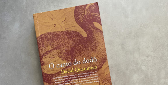 livro o canto do dodô