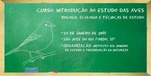 curso introdução ao estudo das aves