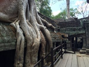 Ta Prohm Temple - Camboja