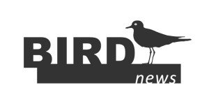 birdnews