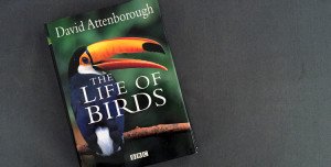 The life of birds - BBC
