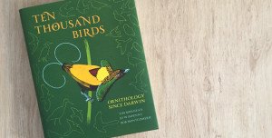 ten thousand birds book