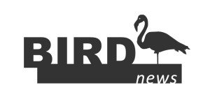 Bird News logo