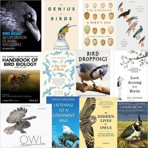 livros sobre aves e birdwatching