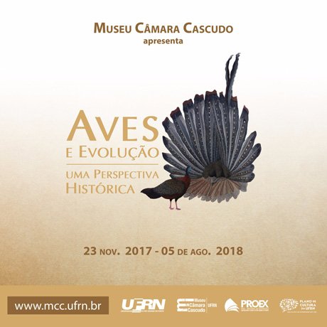 aves e evolução - museu câmara cascudo