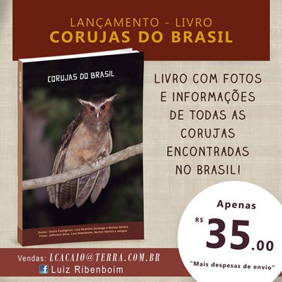 Corujas do Brasil - livro
