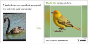 mais aves identificadas pelo Merlin