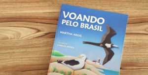 Voando pelo Brasil (livro)