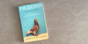capa do livro "Pigeons"