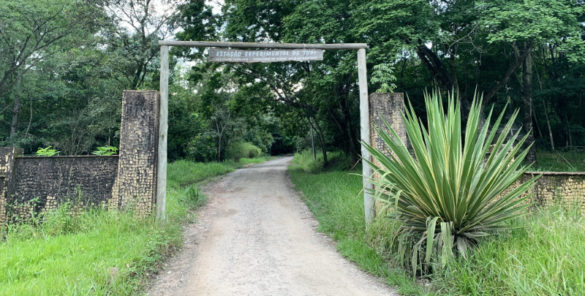 Horto de Tupi em Piracicaba - SP