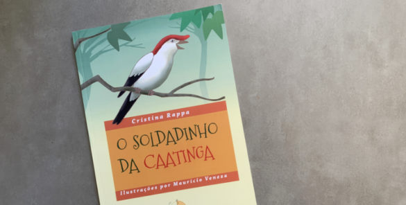 o soldadinho da caatinga