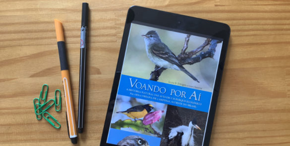 Voando por aí - livro