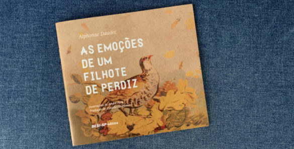 as emoções de um filhote de perdiz