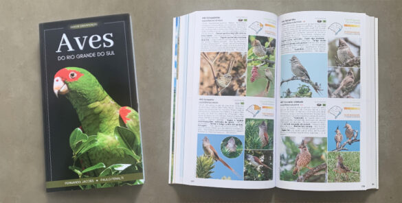 aves do rio grande do sul