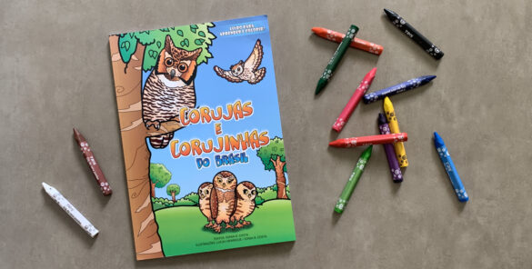 corujas e corujinhas do brasil