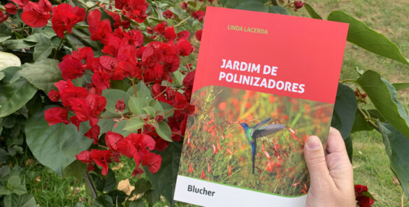 jardim de polinizadores