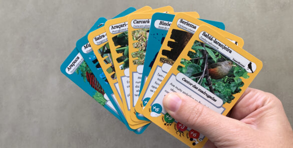 ases jogo de carta com aves do brasil