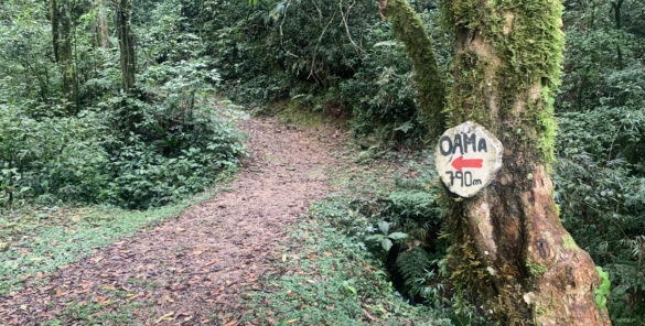 OAMa - Observatório de Aves da Mantiqueira