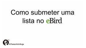 submeter lista no bird