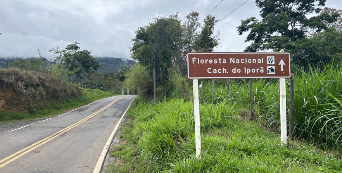 floresta nacional de passa quatro