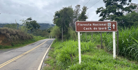 floresta nacional de passa quatro