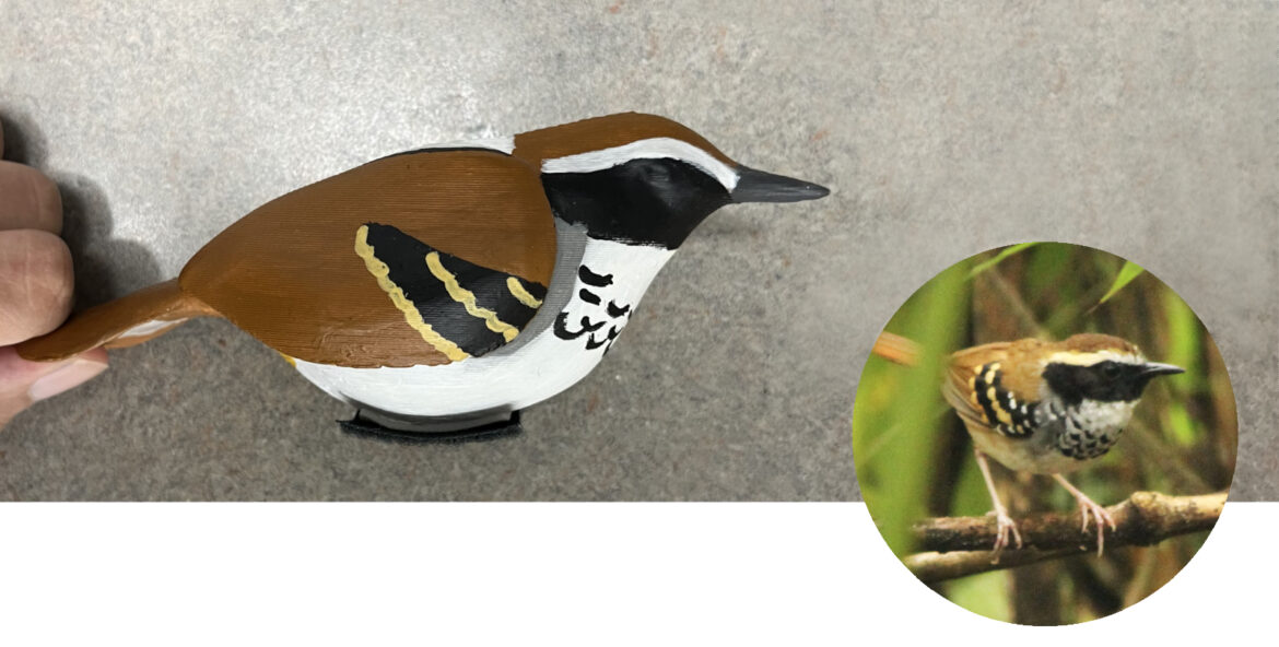 Modelo de ave impresso em 3D