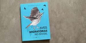 Aves migratórias do Brasil