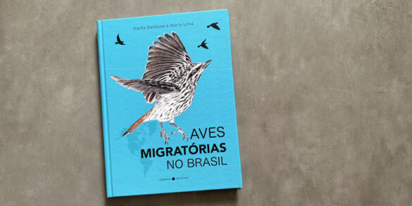 Aves migratórias do Brasil